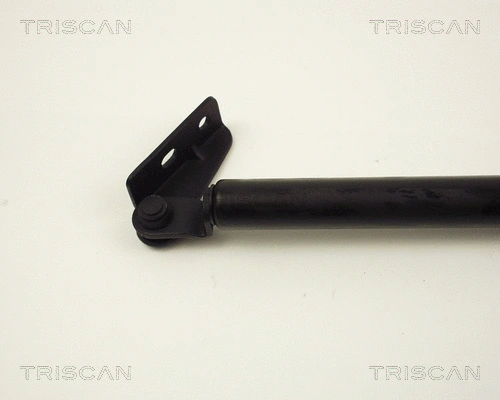 Gas Spring, boot/cargo area