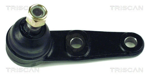 Ball Joint (8500 43500)