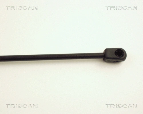 Gas Spring, boot/cargo area