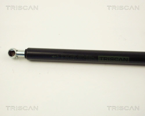 Gas Spring, boot/cargo area