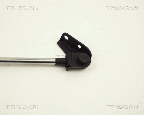 Gas Spring, boot/cargo area