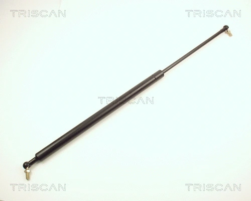 Gas Spring, boot/cargo area (8710 13207)