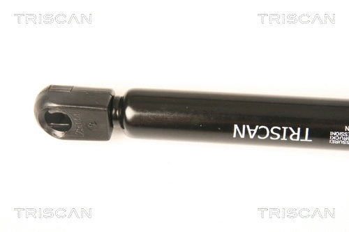 Gas Spring, boot/cargo area