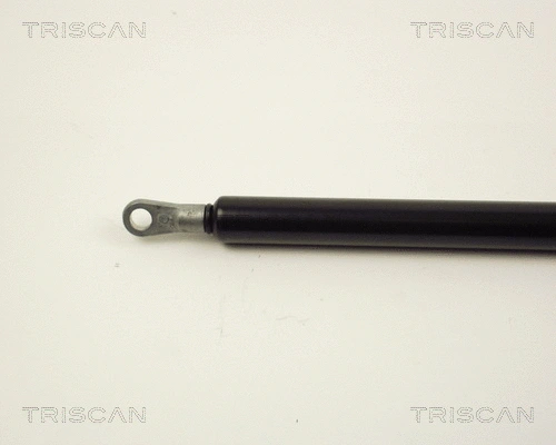 Gas Spring, boot/cargo area