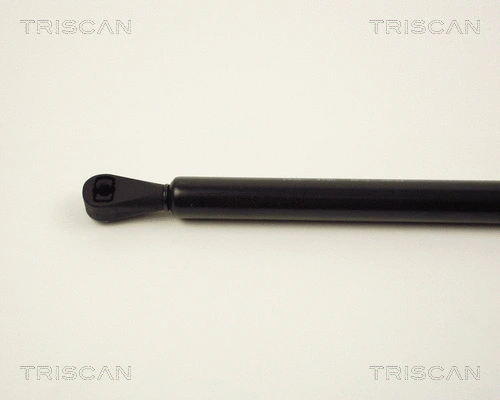 Gas Spring, boot/cargo area