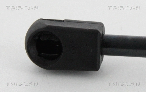 Gas Spring, boot/cargo area