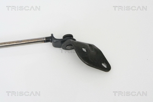 Gas Spring, boot/cargo area