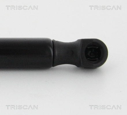 Gas Spring, boot/cargo area