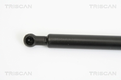 Gas Spring, boot/cargo area