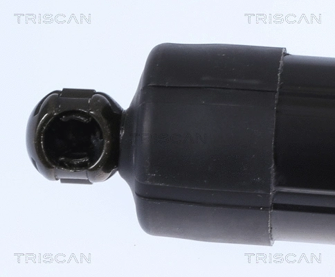 Gas Spring, boot/cargo area