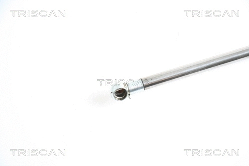 Gas Spring, boot/cargo area