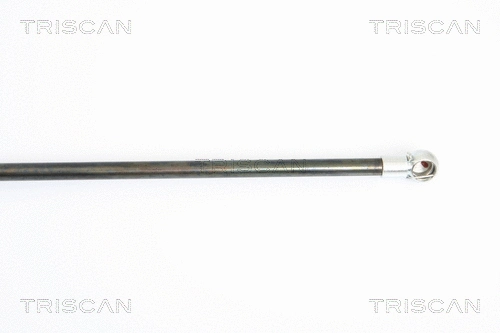 Gas Spring, boot/cargo area