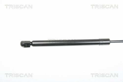 Gas Spring, boot/cargo area