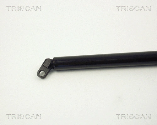 Gas Spring, boot/cargo area
