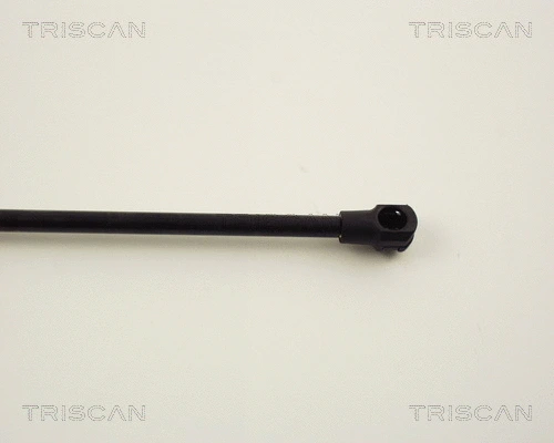 Gas Spring, boot/cargo area