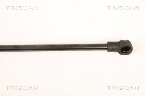 Gas Spring, boot/cargo area