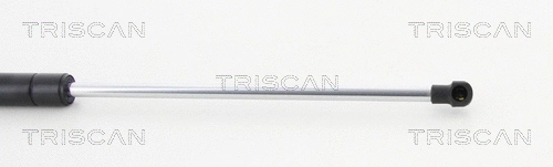 Gas Spring, boot/cargo area