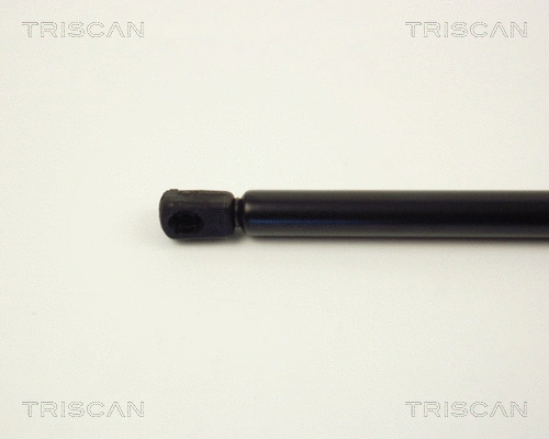 Gas Spring, boot/cargo area