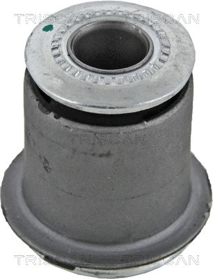 Mounting, control/trailing arm (8500 13822)