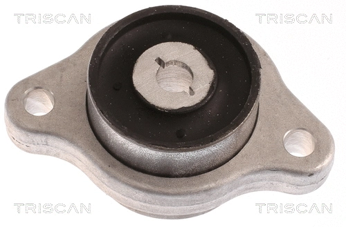 Mounting, control/trailing arm (8500 23888)