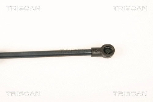 Gas Spring, boot/cargo area