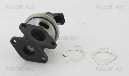 EGR Valve (8813 17100)