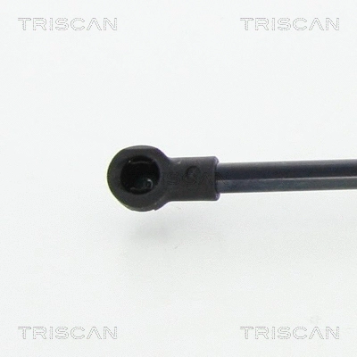 Gas Spring, boot/cargo area