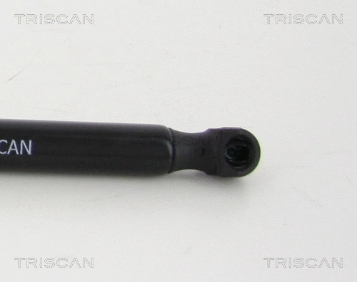 Gas Spring, boot/cargo area