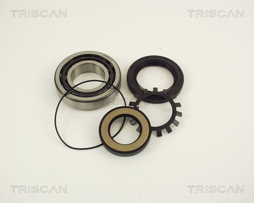 Wheel Bearing Kit (8530 50227)