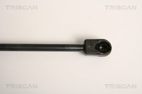 Gas Spring, boot/cargo area