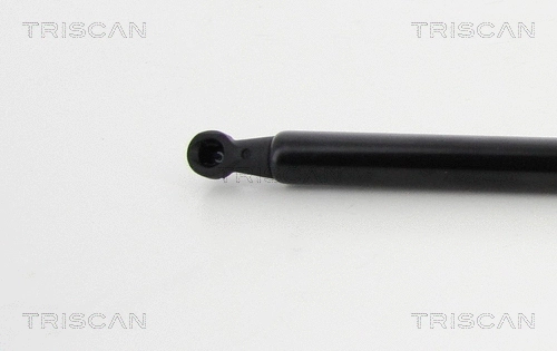 Gas Spring, boot/cargo area