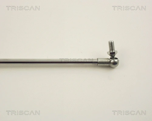 Gas Spring, boot/cargo area