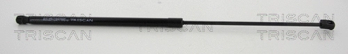 Gas Spring, boot/cargo area (8710 14248)