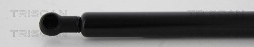 Gas Spring, boot/cargo area