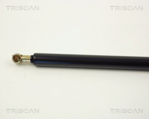 Gas Spring, boot/cargo area