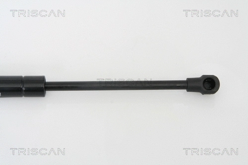 Gas Spring, boot/cargo area