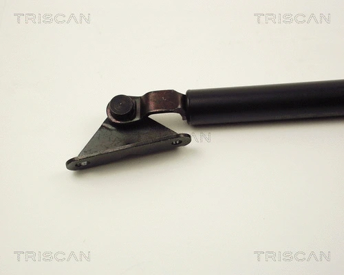 Gas Spring, boot/cargo area