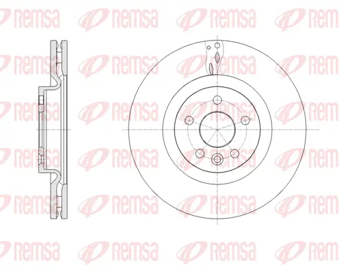 Brake Disc (61786 10)