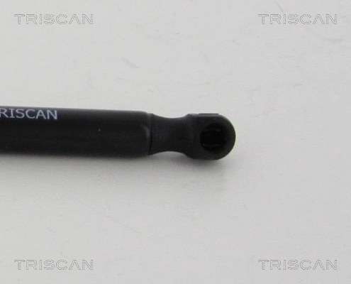 Gas Spring, boot/cargo area