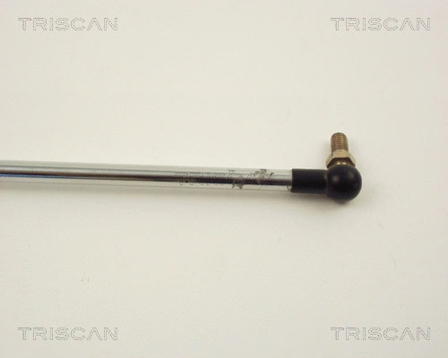 Gas Spring, boot/cargo area