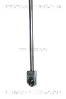 Gas Spring, boot/cargo area