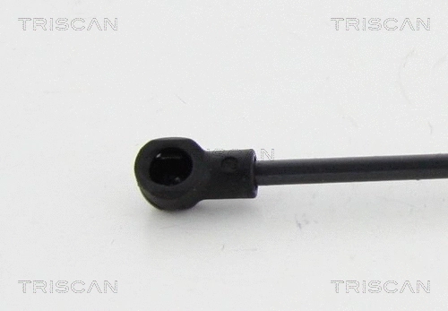 Gas Spring, boot/cargo area