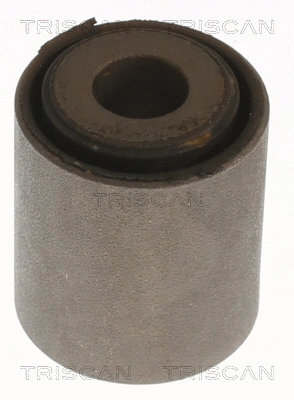 Mounting, control/trailing arm (8500 118029)