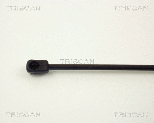 Gas Spring, boot/cargo area