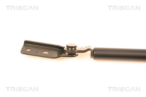 Gas Spring, boot/cargo area