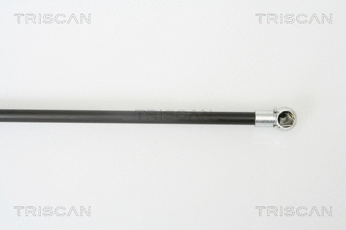 Gas Spring, boot/cargo area