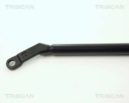 Gas Spring, boot/cargo area