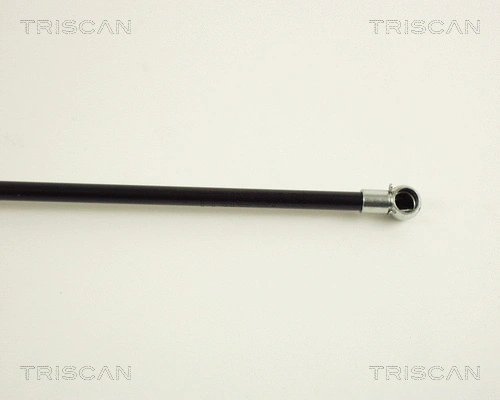 Gas Spring, boot/cargo area