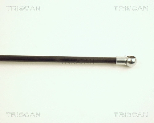 Gas Spring, boot/cargo area