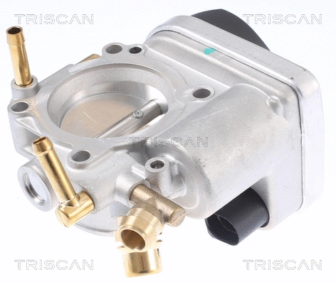 Throttle Body (8820 10003)